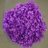 Phantom Flower: Single 20CM Preserved Hydrangea, Handmade Dried Bouquet for Decoration