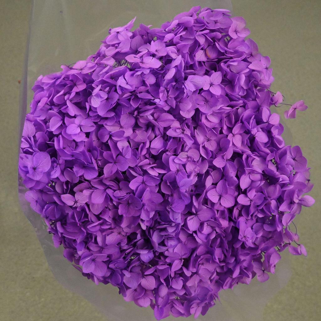 Phantom Flower: Single 20CM Preserved Hydrangea, Handmade Dried Bouquet for Decoration