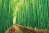1000 Piece Jigsaw Puzzle Sagano Bamboo Forest (49x72cm)