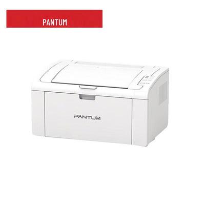 Компактный монохромный лазерный принтер Pantum P2210W с Wi-Fi, штекер CN (адаптер в комплекте)