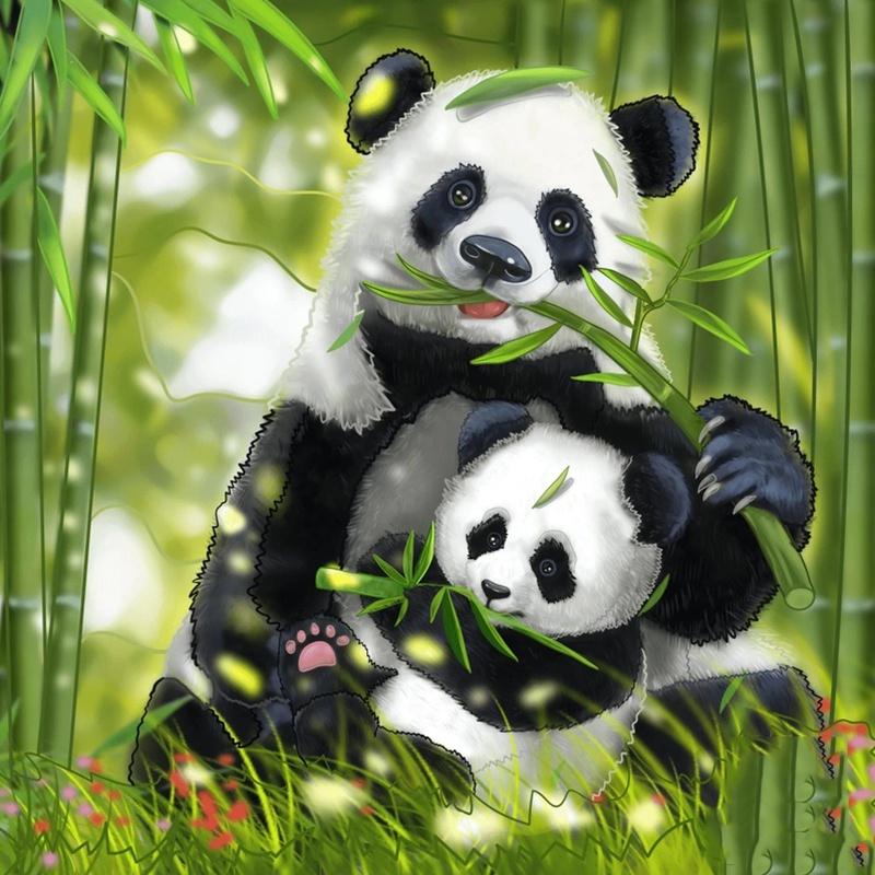 5D DIY Алмазная вышивка Мандала цветы вышивка крестиком распродажа полная квадратная круглая алмазная живопись кошка животное Алмазная мозаика домашний декор