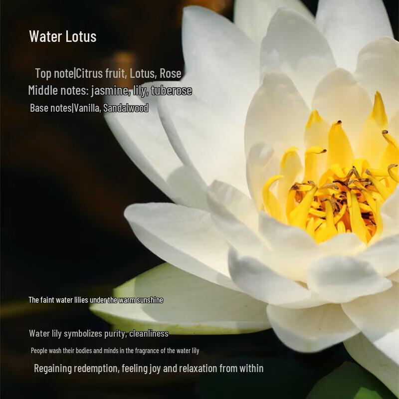 Tesori d'Oriente Water Lily Hydrating Fragrance Body Lotion