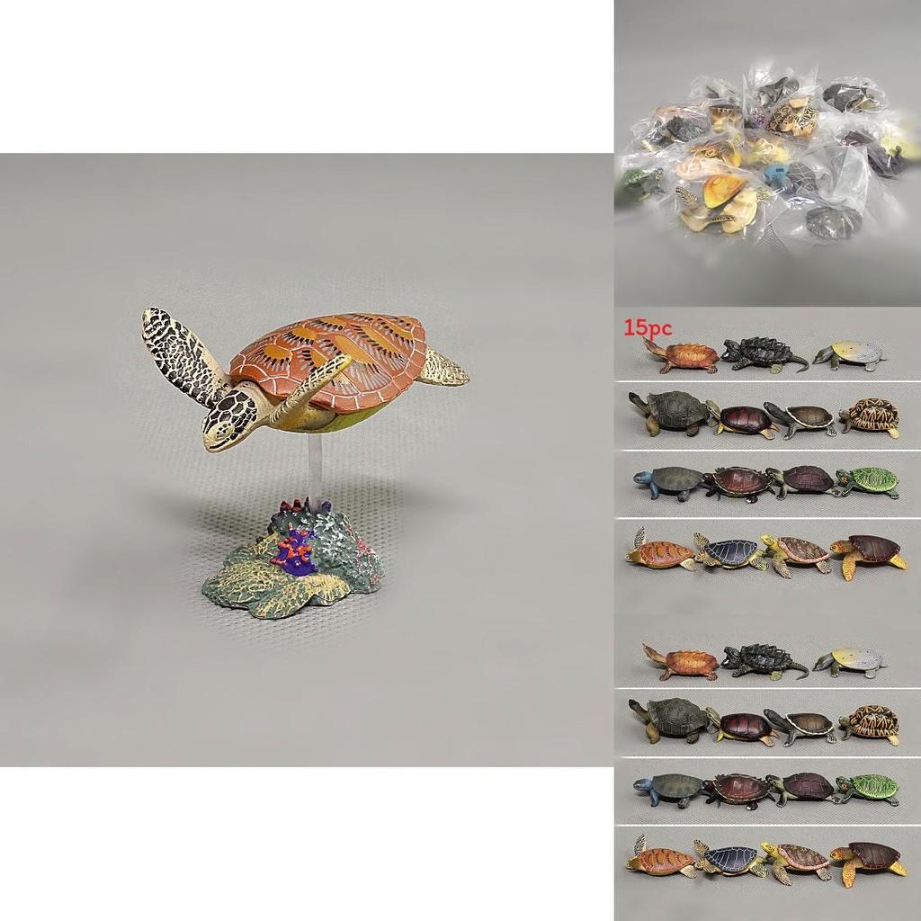 Pvc Ocean Animal Figure Green Sea Turtle Animal Model For Educational Display