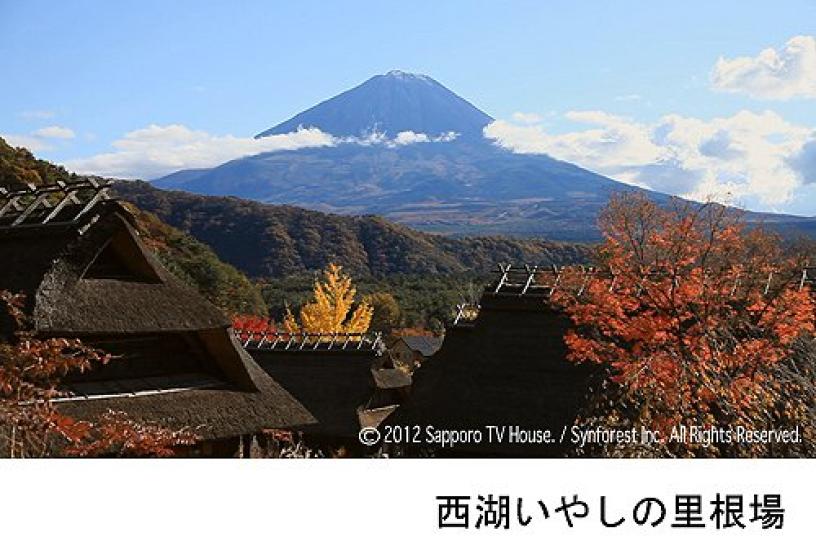 Лес Симфонии 100 Видов Фудзи Наслаждайтесь из в HD HD Самый Лучший и Самый Красивый Момент Blu-ray Гора. """Лучший Мт""". Фудзи" г. Фудзи - (Blu-ray диск)
