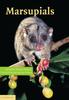 Книга Marsupials by UNKNOWN - Hardback