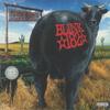 LP Пластинка BLINK-182 - Dude Ranch B002529001 Geffen Records 2016 США Рок