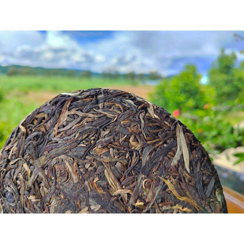200 г Иу Пуэр Чай Старый Сырой Чай Тяньмэнь Горный Высокий Полюс Пуэр Старый Чай Кекс
