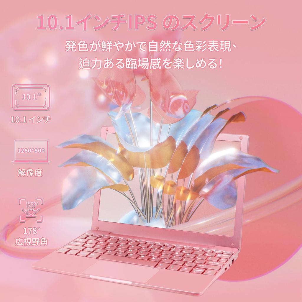 Mini Laptop with Microsoft Office 2019 and Windows 11 Featuring a Celeron N4020 8GB 512GB and a Japanese Keyboard with Includes Wireless USB Mini and