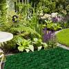 D5 Preserved Decorative Moss Natural For Home Decorations Model Making Fake Moss Background Wall Immortal Simulated Green Plants
