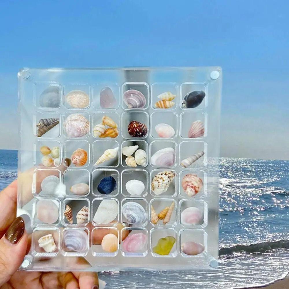 Plastic Magnetic Seashell Display Box Mini Seashell Collection Case New Seashell Storage Box
