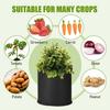10Pack 3/5/7/10/Gallon Fabric Root Pots Home Garden Smart Plant Grow Bags UK