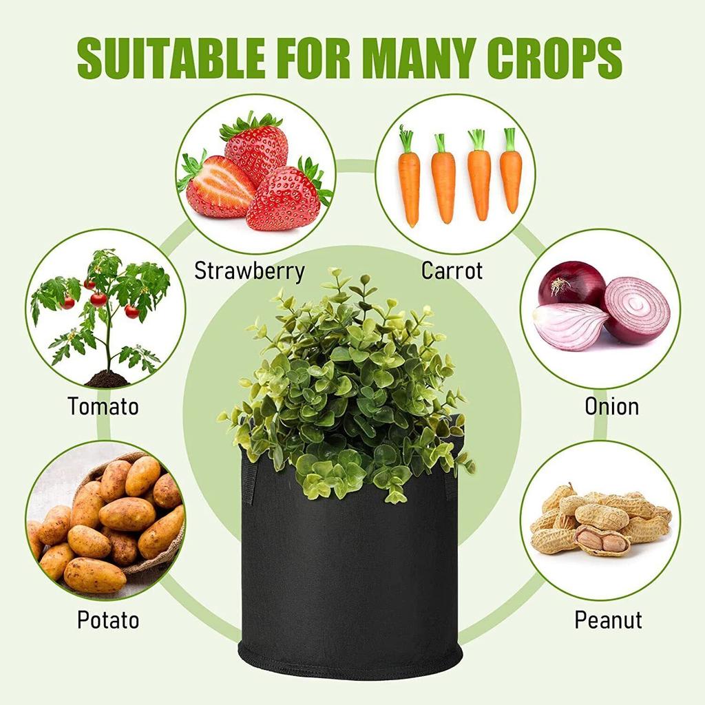 10Pack 3/5/7/10/Gallon Fabric Root Pots Home Garden Smart Plant Grow Bags UK