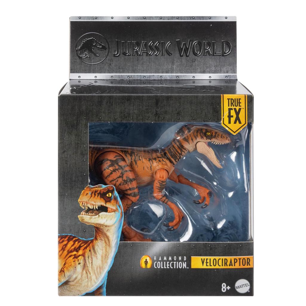 Mattel Jurassic World Hammond Collection Velociraptor Tiger Figure for Moving Dinosaur Approximately Inches Ages 8 and JDJ09 Kids, Toy, Large, 7.5
