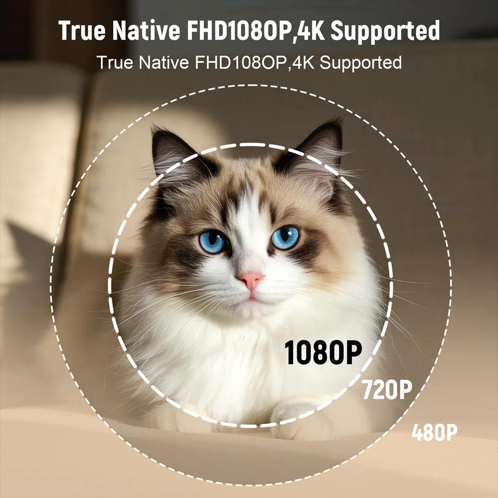 Сертификация Velec Netflix Проектор Android 13 4K Native 1080P 650ANSI с автофокусом Wifi6 BT5.2 360° Домашний уличный проектор