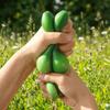 Super Soft Cucumber Squeeze Model Simulation Vegetable Pinch Slow Rebound Cucumber  Photo Prop