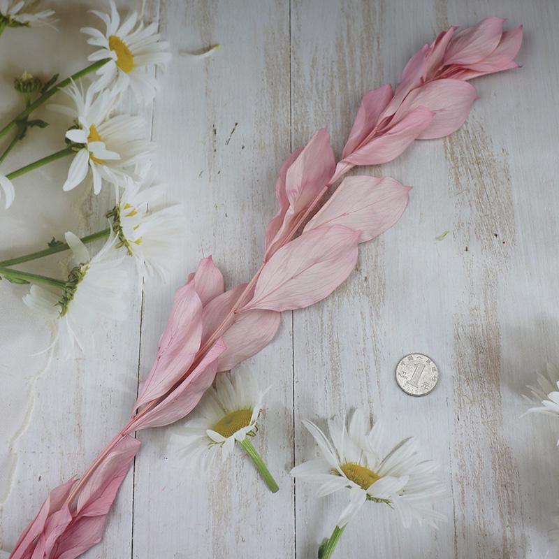 DIY Floral Art Ornament: Preserved Tangerine & Fishtail Leaf, Lily, Bamboo Dried Flowers – Ikebana Photo Prop for Home Décor.