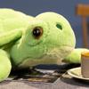 Мягкая игрушка в виде черепахи Kawaii, мягкая игрушка в виде морской черепахи, подушка для спящего партнера, домашний декор для детей и девочек, подарок на день рождения