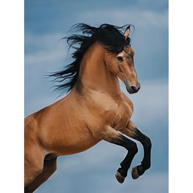 DIY Лошадь 5d алмазная живопись полная круглая дрель горный хрусталь животное Алмазная вышивка наборы крестиков настенное искусство домашний декор подарок