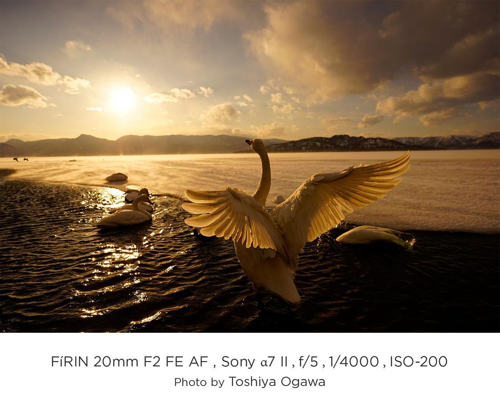 Tokina Single Focus Wide Angle Lens FiRIN 20mm F2 FE AF for Sony Full Size Compatible E