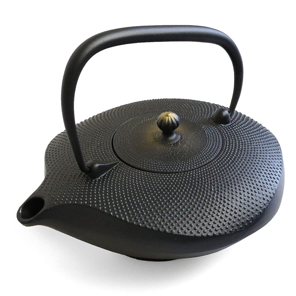 Oshu Nanbu Ironware Teapot Nanbu Shape Kawasemi Enameled with Tea Strainer Made In Japan Iron Kettle Iron Teapot Stylish Gift Interior Cups 22 X 17cm