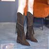 Fashion Luxury Shoes for Women 2024 Fashion Bohemia Knee-length Women's Boots New Pointed Tassels Faux Suede Boots Ladies Platform Shoes