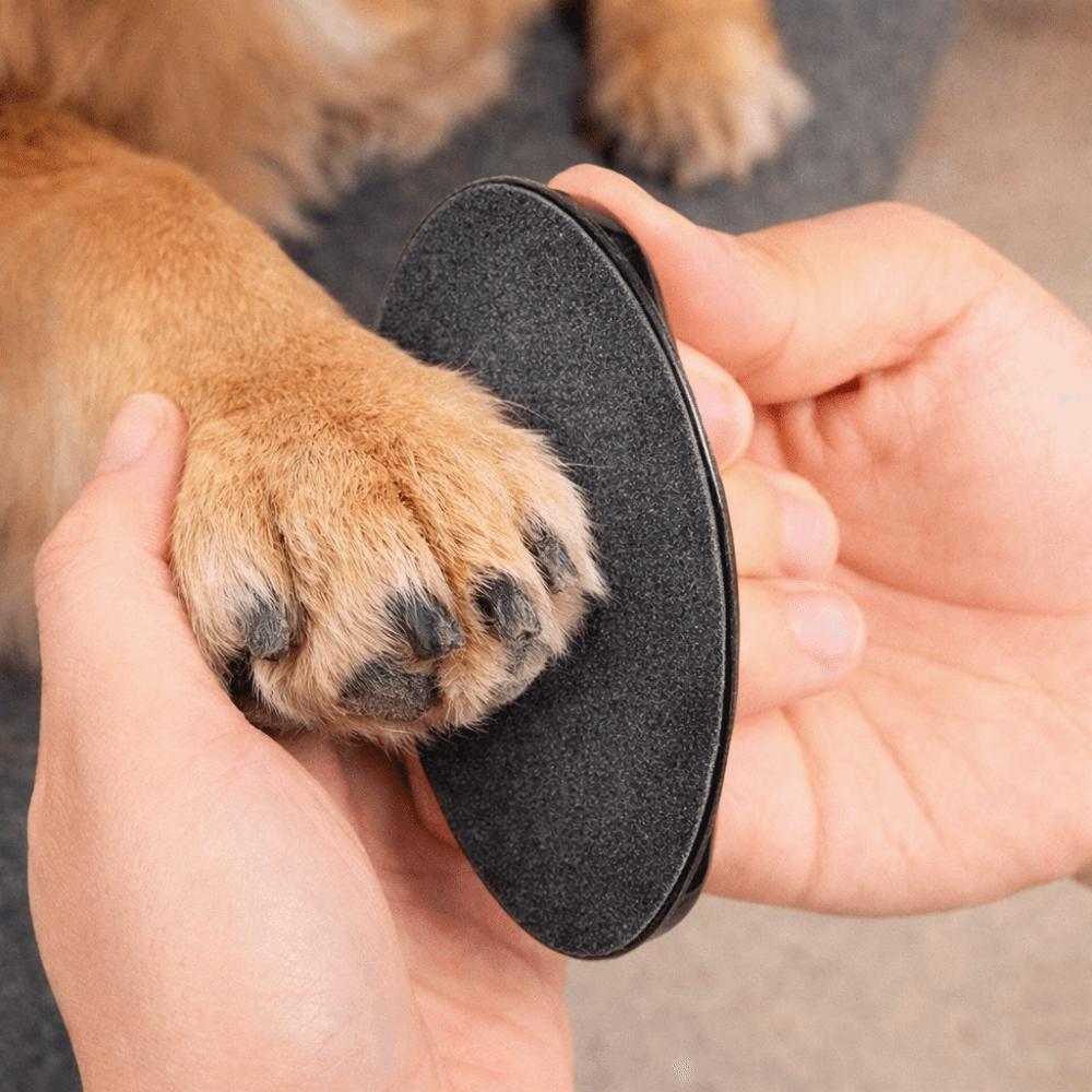Wear Resistant Dog Nail File Board Replaceable Sandpaper Puppy Nail File  Dog Paw Grinding