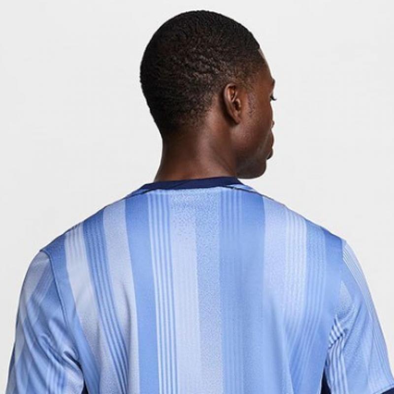 Nike Футболка с коротким рукавом Tottenham Hotspur 2024 25 Stadium Away Dry Fit футбольная реплика джерси Fn8788 480 S2407