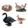 Toys Miniature Cycle Duck Figurine Life Cycle Figures White Goose Growth Cycle Simulation