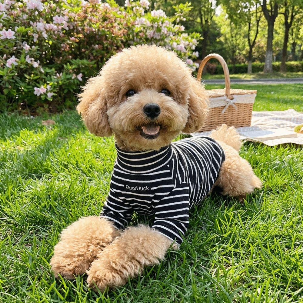 High Collar Dog Base Coat Soft Pet Warm Sweater Dog Clothing Striped Sweatshirt Home Wear
