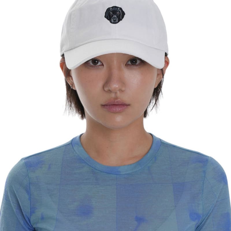 AMERICAN NEEDLE MICRO SLOUCH CAP LAB