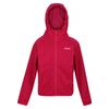 Regatta Childrens/Kids Maxwell II Lightweight Fleece Jacket