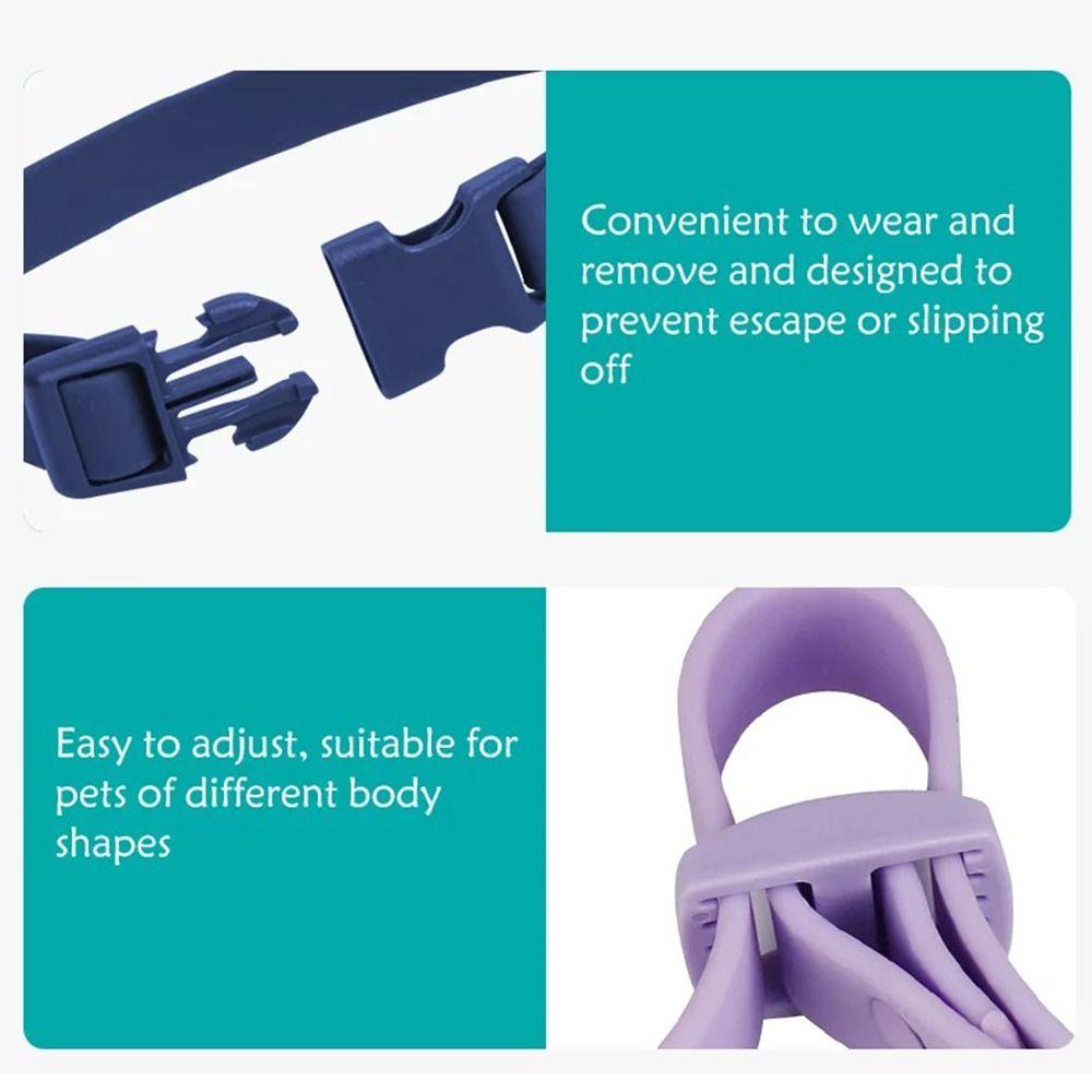Идентификация питомца Ошейник для питомца Эластичная стропа Безопасная пряжка Цепочка Водонепроницаемый ошейник для собаки Щенки