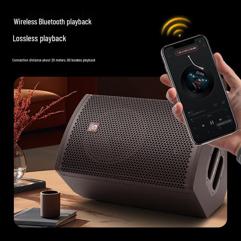 Malone H-08 Portable Outdoor Live Performance Speaker (CN version)
