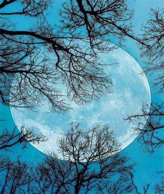 RUOPOTY Paint By Numbers Moon Scenery Unique Gift Home Decoration Picture By Number Sea Acrylic Drawing On Canvas