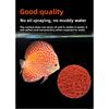 Jingyipin Altum Angelfish & Discus Food - Sinking Color Enhancing Pellets for Wild Scalare & South American Cichlids