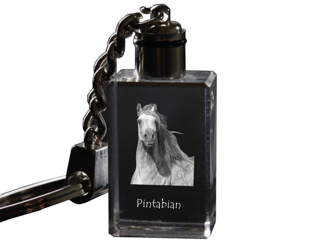Pintabian - Crystal Pendant with Photo of a Horse, Illuminated Pendant, Unique Gift by Art-Dog Brand
