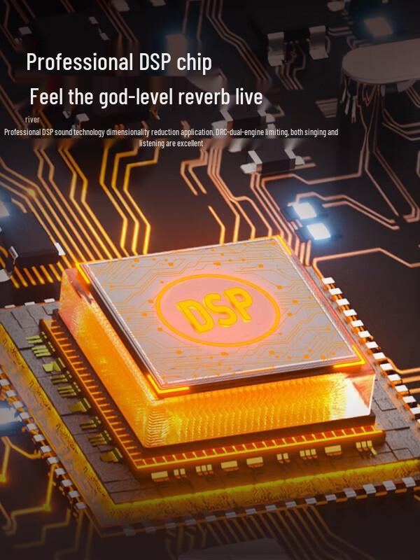 Divoom Portable KTV Bluetooth Speaker System with Dual Microphones