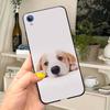Чехол для Vivo Y1S Y91C Силиконовый Мягкий Милый ТПУ Задняя Крышка Чехол Для vivo Y91i 1820 Funda Чехол Для vivo Y1S Y 91C Y 91i Чехол для Телефона