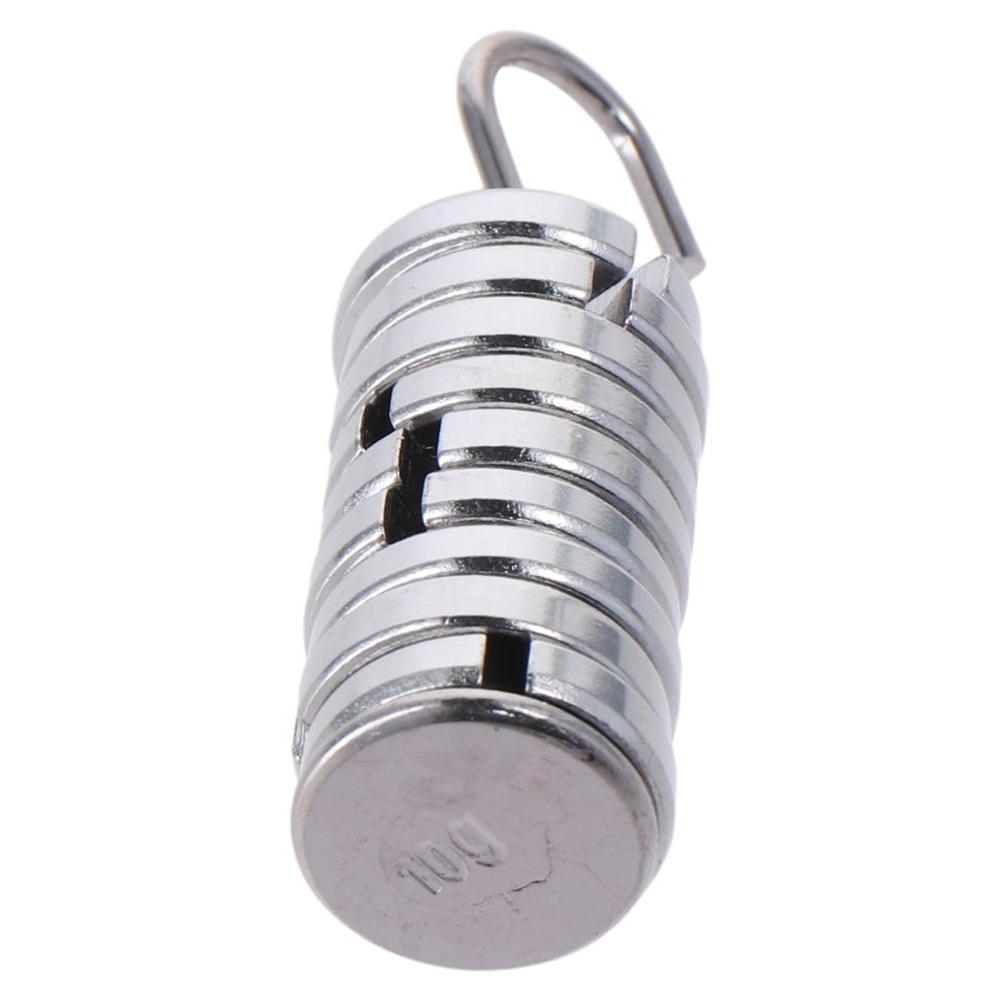 Total 100g Metal Slotted Weights 10g Each with Hanger and Case Lab Slotted Mass Set Laboratory