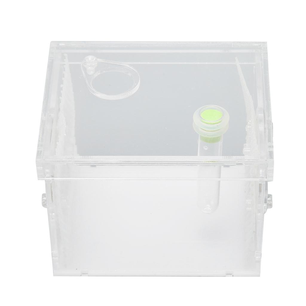 Reptile Insect Enclosure Tank Mini Acrylic High Transparency Moisturizing Reptile Insect Breeding Box S