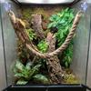 Канат для лазания для мелких животных, тренировочная игрушка-упражнение для амфибий, обогащение среды обитания животных, аксессуар для легкой установки