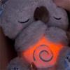 23cm Evoraco Soothing Koala Bear, Arrily Calming Otter, Arrily Sleep Otter, Arrily Anxiety Relief Koala,Plush Toy with Music Lights