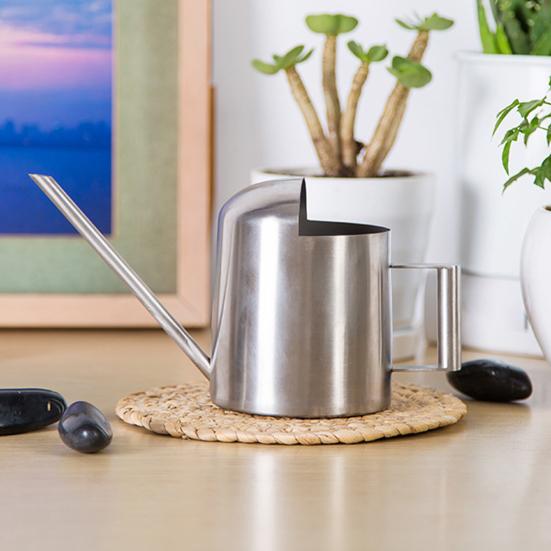 10 унций/300 мл мини-лейка из нержавеющей стали с длинным носиком для опрыскивания горшечных растений, маленькая лейка для комнатных уличных цветов, суккулентов, садовая лейка