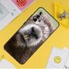 Animal Beaver Cover For Samsung Galaxy A34 A35 A14 A15 A25 A53 A33 A13 A52 A32 A12 A51 A71 A54 A55 Case