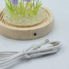 Floral Glow Garden Dome – 20 Multi Tulips – LED USB
