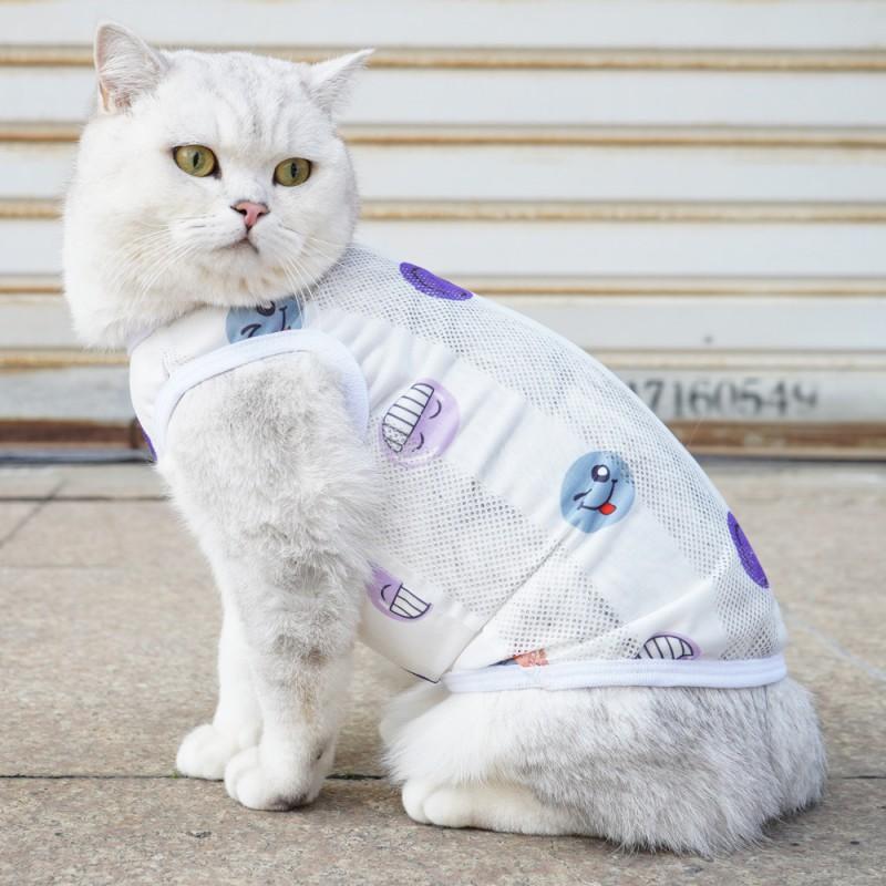 Дышащая сетчатая жилетка для кошек Ragdoll, Британская короткошерстная, Девон-рекс. Размеры от маленького до очень большого.