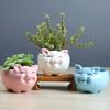 1 шт., украшение в виде свиньи, вырезанный цветочный горшок, S/M/L, цветочный горшок, садовые принадлежности, горшок для суккулентных растений, керамический