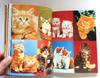 [USED] Happy Kitty Bunny Pony Book Illustration Cat Rabbit Horse