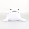 Ricky Rain Frog Cartoon Frog Doll Multi Color Pillow Soft Plush Toy Solitary