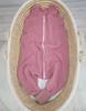 Muslin sleeping bag for children with legs L 9-24 months summer TOG 1.0 - retro pink